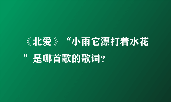 《北爱》“小雨它漂打着水花”是哪首歌的歌词？