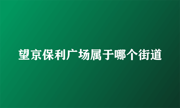 望京保利广场属于哪个街道