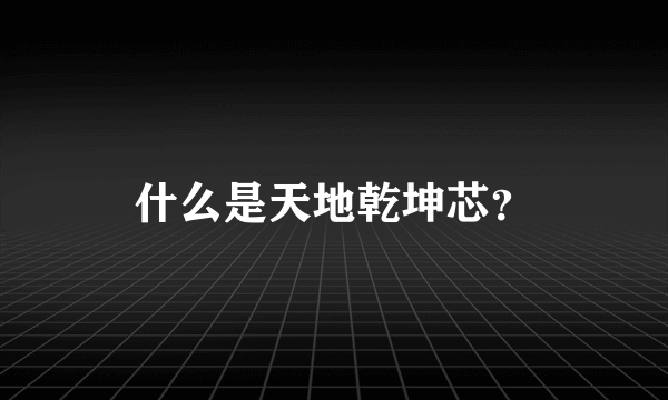 什么是天地乾坤芯？