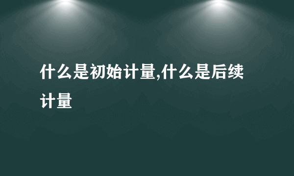 什么是初始计量,什么是后续计量