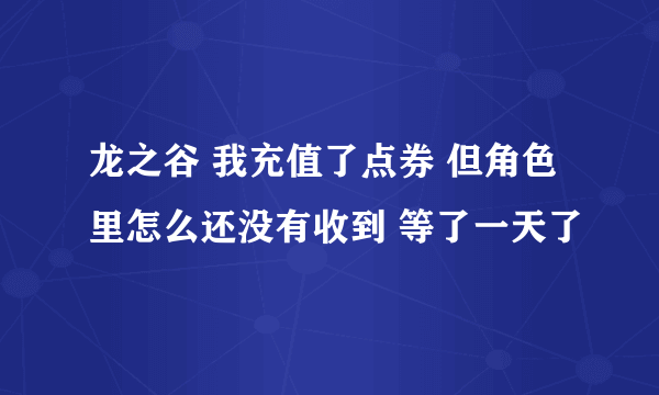 龙之谷 我充值了点券 但角色里怎么还没有收到 等了一天了