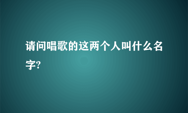 请问唱歌的这两个人叫什么名字?