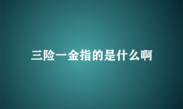 三险一金指的是什么啊