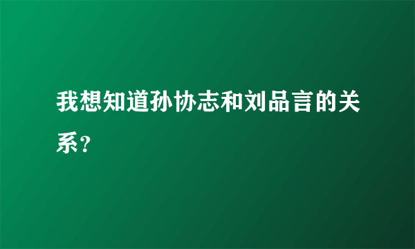 我想知道孙协志和刘品言的关系？