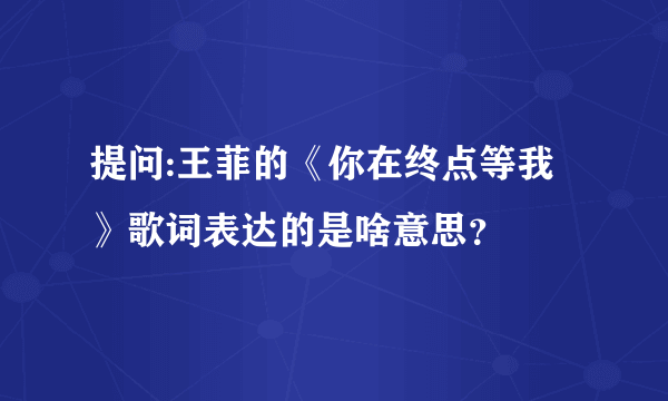 提问:王菲的《你在终点等我》歌词表达的是啥意思？