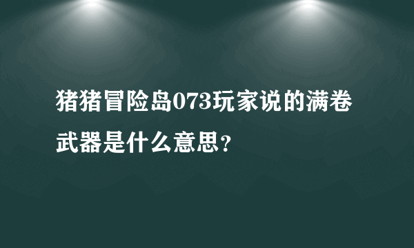 猪猪冒险岛073玩家说的满卷武器是什么意思？