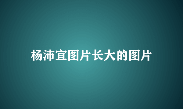 杨沛宜图片长大的图片