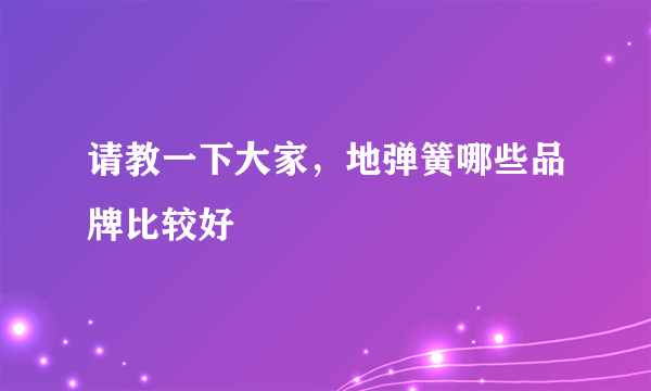 请教一下大家，地弹簧哪些品牌比较好