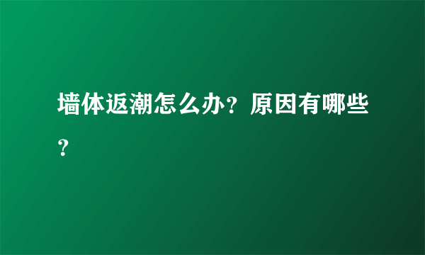 墙体返潮怎么办？原因有哪些？