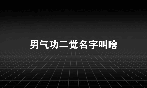 男气功二觉名字叫啥