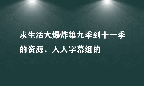 求生活大爆炸第九季到十一季的资源，人人字幕组的