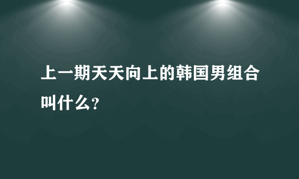 上一期天天向上的韩国男组合叫什么？