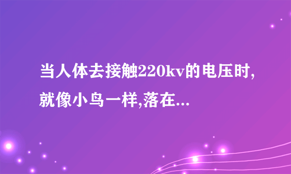 当人体去接触220kv的电压时,就像小鸟一样,落在架空线上。人会被电死吗,