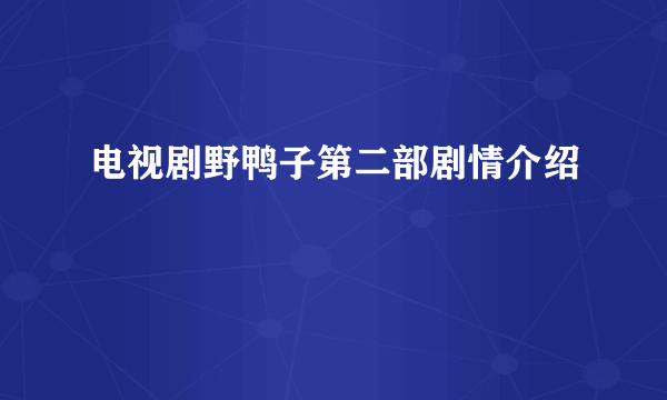 电视剧野鸭子第二部剧情介绍