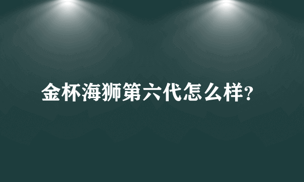 金杯海狮第六代怎么样？