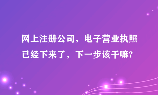 网上注册公司，电子营业执照已经下来了，下一步该干嘛?