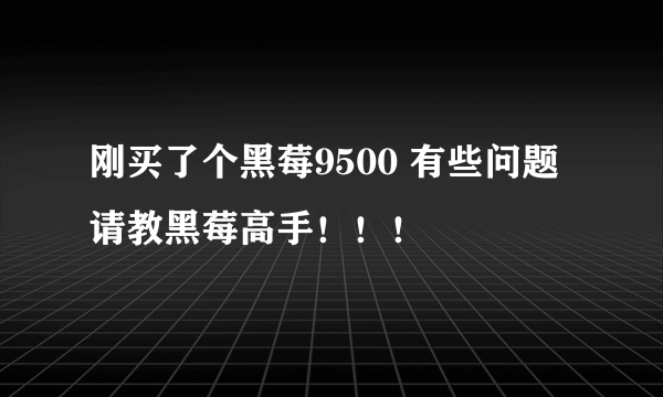 刚买了个黑莓9500 有些问题请教黑莓高手！！！