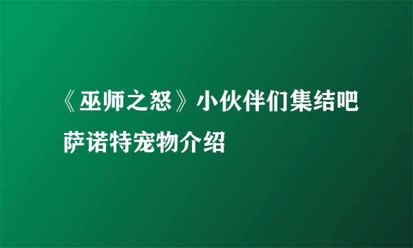 《巫师之怒》小伙伴们集结吧 萨诺特宠物介绍