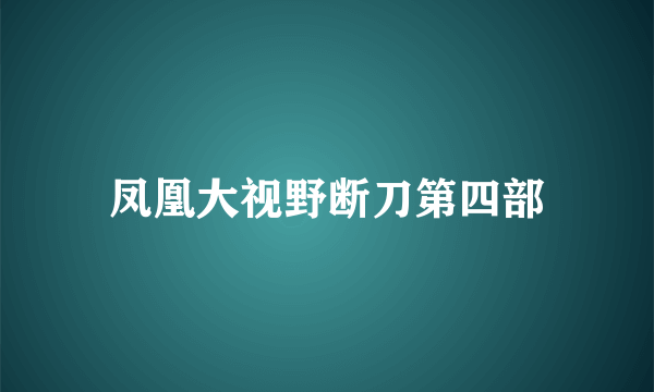 凤凰大视野断刀第四部