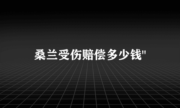 桑兰受伤赔偿多少钱