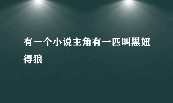 有一个小说主角有一匹叫黑妞得狼