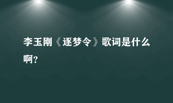 李玉刚《逐梦令》歌词是什么啊？