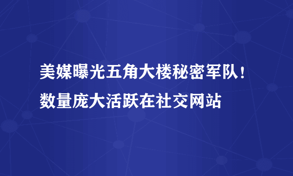 美媒曝光五角大楼秘密军队！数量庞大活跃在社交网站