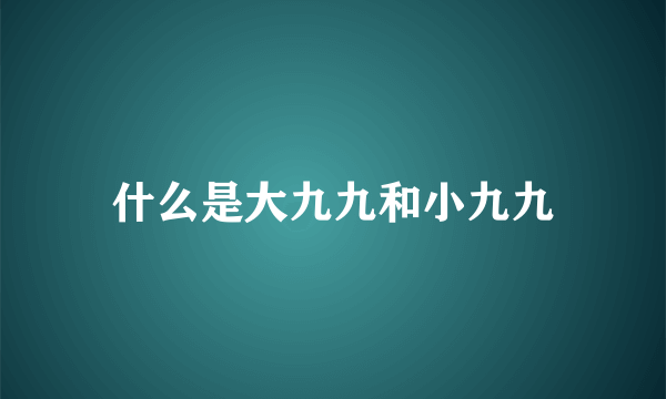 什么是大九九和小九九