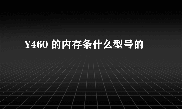 Y460 的内存条什么型号的