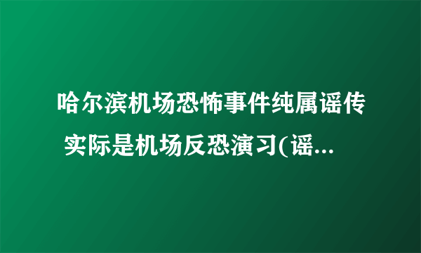 哈尔滨机场恐怖事件纯属谣传 实际是机场反恐演习(谣传者被抓)(2)