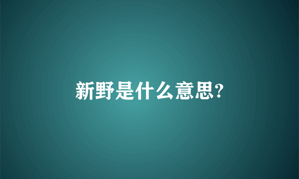 新野是什么意思?