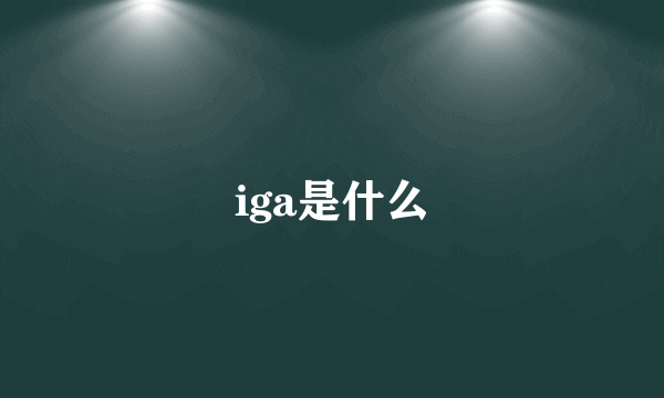 iga是什么