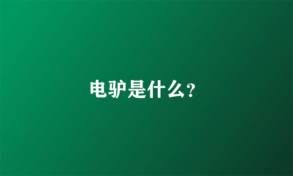 电驴是什么？