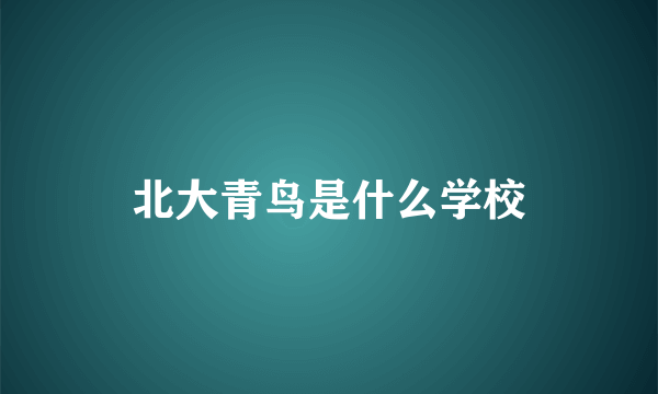 北大青鸟是什么学校