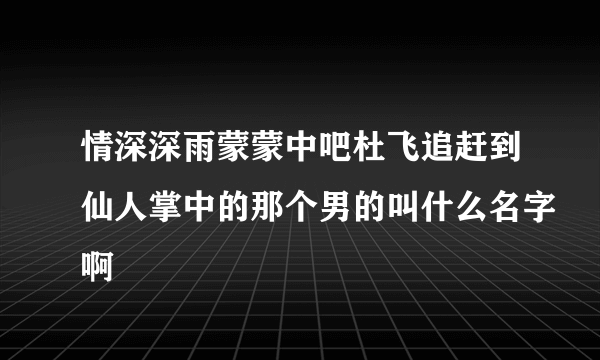 情深深雨蒙蒙中吧杜飞追赶到仙人掌中的那个男的叫什么名字啊