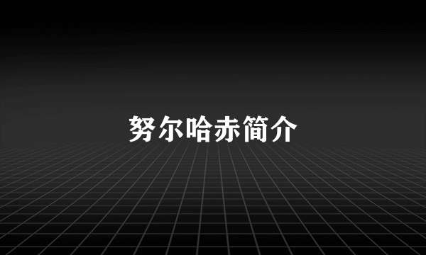 努尔哈赤简介