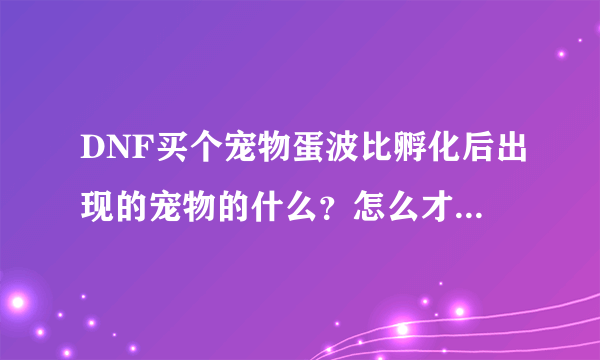 DNF买个宠物蛋波比孵化后出现的宠物的什么？怎么才能开到自己想要的宠物？