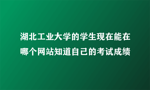 湖北工业大学的学生现在能在哪个网站知道自己的考试成绩