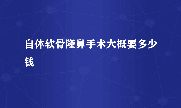 自体软骨隆鼻手术大概要多少钱