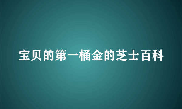 宝贝的第一桶金的芝士百科