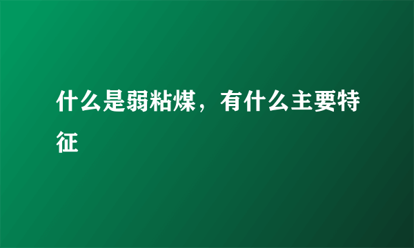 什么是弱粘煤，有什么主要特征