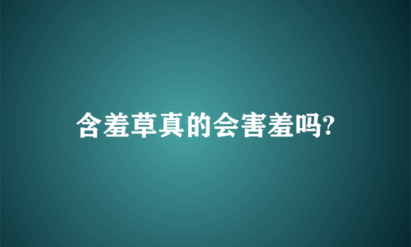 含羞草真的会害羞吗?