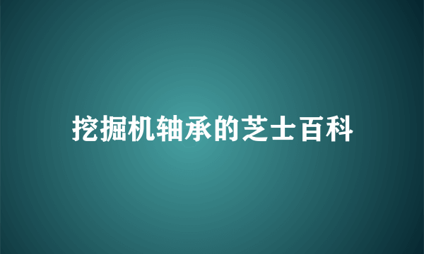 挖掘机轴承的芝士百科