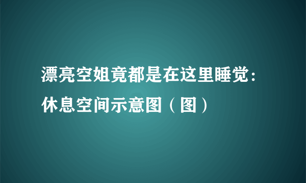 漂亮空姐竟都是在这里睡觉：休息空间示意图（图）