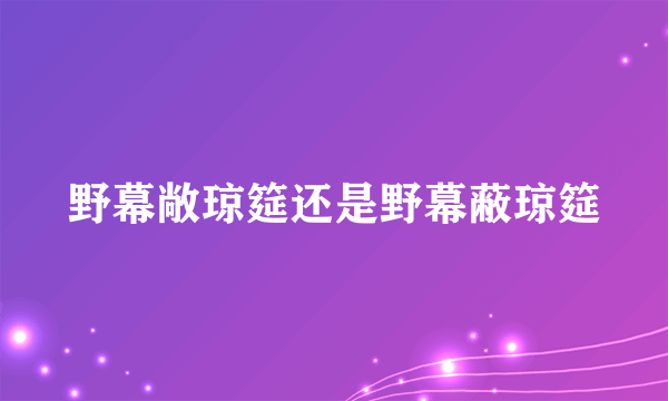 野幕敞琼筵还是野幕蔽琼筵