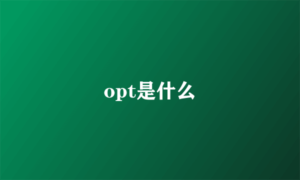 opt是什么