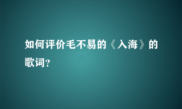 如何评价毛不易的《入海》的歌词？