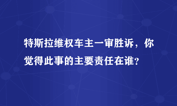 特斯拉维权车主一审胜诉，你觉得此事的主要责任在谁？