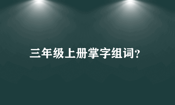 三年级上册掌字组词？