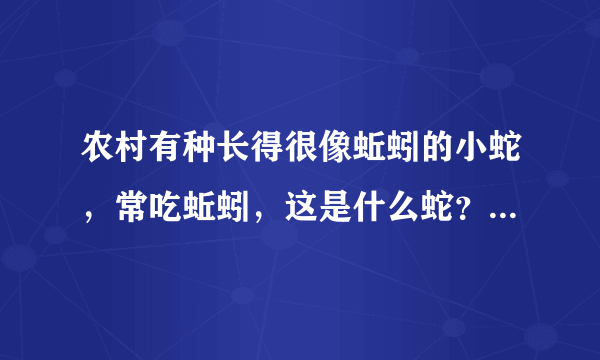 农村有种长得很像蚯蚓的小蛇，常吃蚯蚓，这是什么蛇？有毒吗？